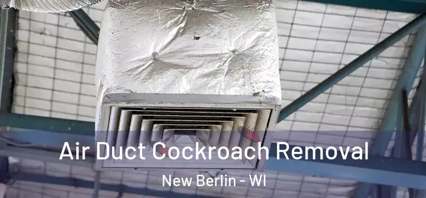 Air Duct Cockroach Removal New Berlin - WI