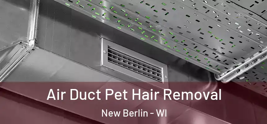 Air Duct Pet Hair Removal New Berlin - WI