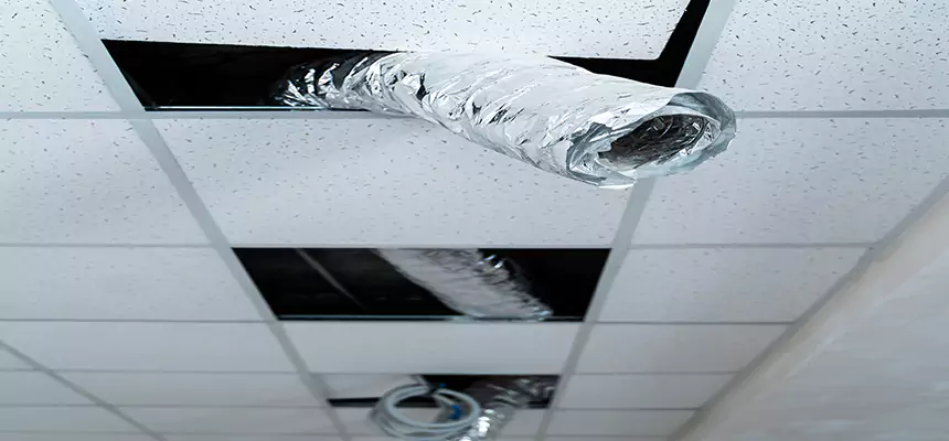 Affordable HVAC Sanitizing After Pest Removal in New Berlin