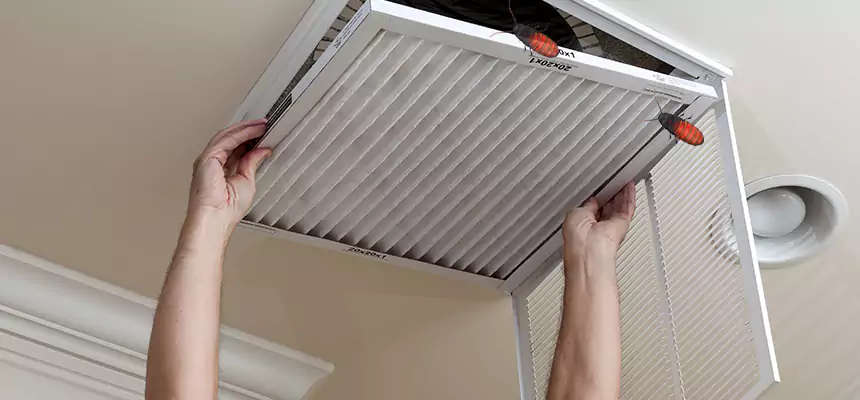 Our Insect Removal from Air Ducts Services in New Berlin, WI