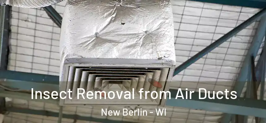 Insect Removal from Air Ducts New Berlin - WI
