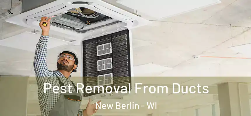 Pest Removal From Ducts New Berlin - WI