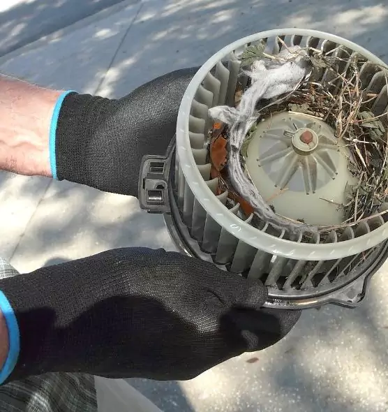 About Air Duct Mice Removal in New Berlin, WI