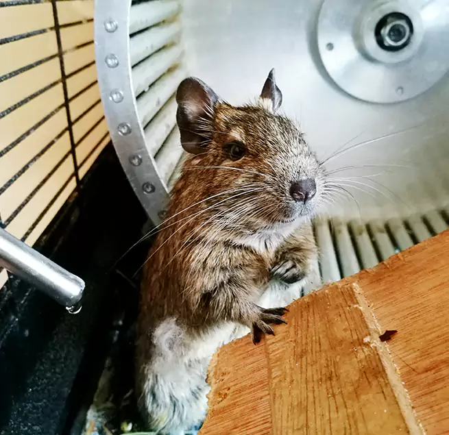 Why Homeowners & Businesses Trust Us New Berlin, WI